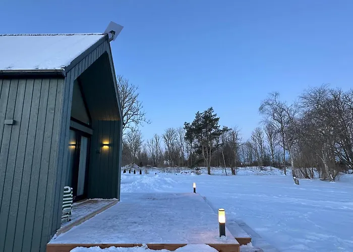 Greencabin - Modern Tiny House In Saaremaa Pamma