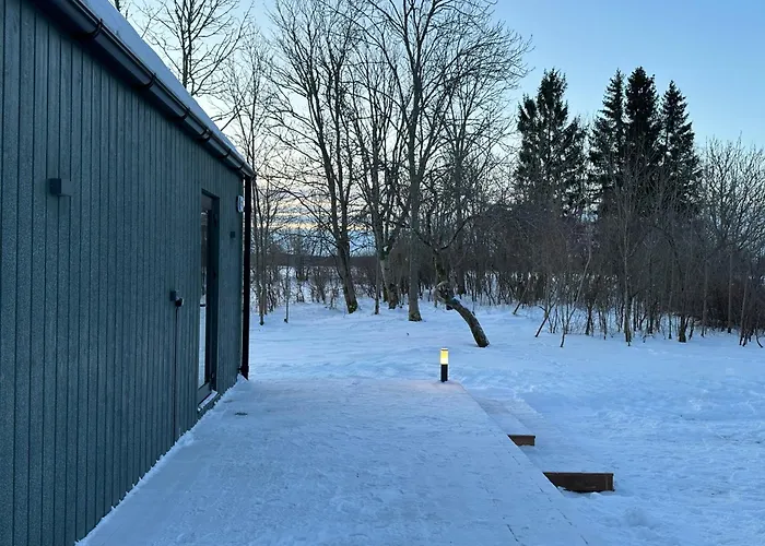 Greencabin - Modern Tiny House In Saaremaa *