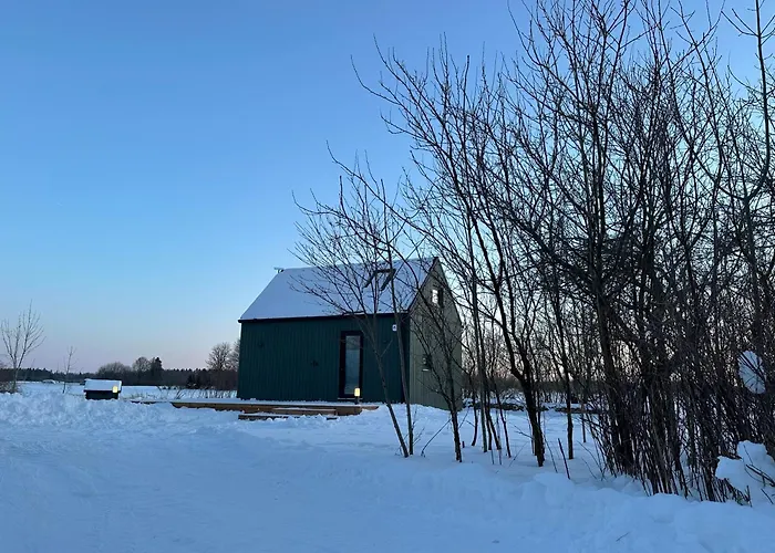 Greencabin - Modern Tiny House In Saaremaa Дом отдыха Pamma