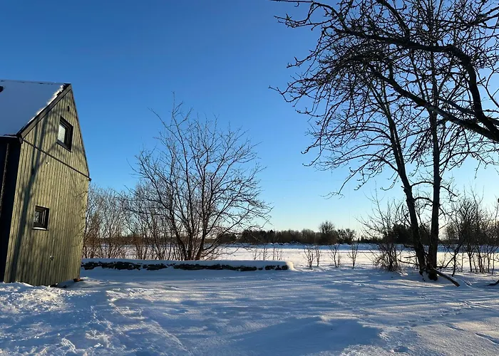 Greencabin - Modern Tiny House In Saaremaa Дом отдыха Pamma